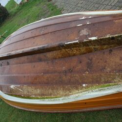 Wakenitz, Motorboot direkt nach dem Auswassern bedeckt mit einem dichten Biofilm