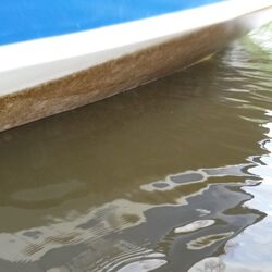 Bremen-Hasenbüren, Schwertzugvogel Hanseatenstern 2016, Biofilm vor der Fahrt