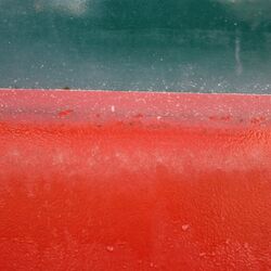 Beispiel Zingst, Nahansicht des Biofilm-Streifens am Wasserpass