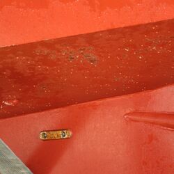 Beispiel Zingst, Rumpfmitte mit Moostierchen direkt nach dem Kranen, September 2016