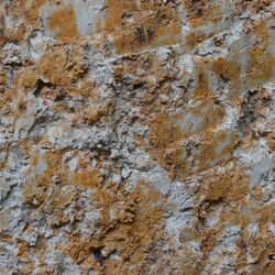 Detailfoto von gebleichten und rostfleckigen Bereichen im Bodenprofil