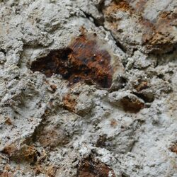 Eisen und Mangananreicherungen in einer Bodenschicht