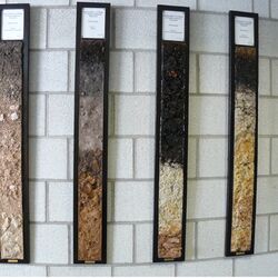 Verschiedene Böden hängen als Lackprofil konserviert auf den Fluren des Regierungspräsidiums in Karlsruhe.