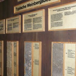 Eine Wand mit unterschiedlichen Lackprofilen von Weinbergsböden und deren Beschreibung ist zu sehen.