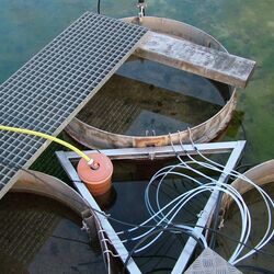 Aufsicht auf Säulensegmente im Wasserbecken.