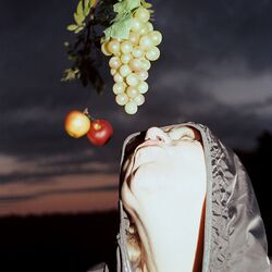 von oben hängen Weintrauben und Äpfel herab, darunter eine junge Frau mit Kapuzenjacke, die versucht, mit dem Mund heranzukommen, im Hintergrund Dämmerung und dunkle Wolken