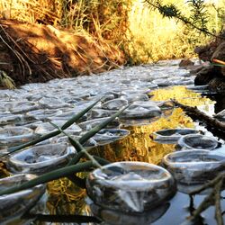 ein Bach gefüllt mit Plastikflaschen als künstlerische Installation