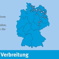 Deutschlandkarte: Der Gewässertyp 2014 kommt in Jungmoränengebiet von Brandenburg, Mecklenburg-Vorpommern, Schleswig-Holstein und Sachsen-Anhalt vor.