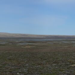 Hügelige feuchte Landschaft vor blauem Himmel