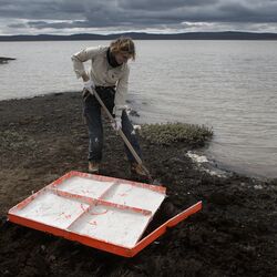 Die Künstlerin steht an Ufer eines Sees und nimmt eine Bodenprobe. 
