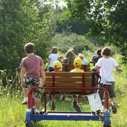 Eine Gruppe von Kindern sitzt auf einer Draisine auf Schienen und treibt sie mit Fahrradpedalen an.