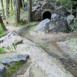 In Dresden hat das Sachgebiet für Gewässer- und Bodenpflege ein Projekt zur Verbesserung des Hochwasserschutzes durchgeführt. Naturnahe Rückhaltemulden und ein neues Rückhaltebecken verringern Überschwemmungen durch Hochwasser und drosseln den Abfluss.