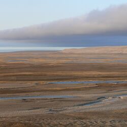 Braune karge Landschaft mit einigen Wasserstellen