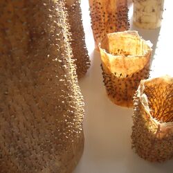 künstlerisch gestaltete Kakteen