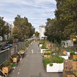 Eine ehemalige Straße wird von Anwohnern als Garten genutzt. Es stehen dort mehrere Holzkisten mit Gemüse und Pflanzen. 