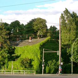 An der einer Straßenkreuzung steht ein Haus, das völlig bewachsen ist, nicht einmal mehr die Fenster sind zu sehen. 