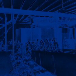 Mehrere Arbeiter sortieren Abfall von Hand, sie stehen an einem langen Tish