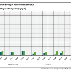 Die Konzentrationen von PFOS in Aalmuttern aus dem niedersächsischen und schleswig-holsteinischen Wattenmeer lagen weit unter der Umweltqualitätsnorm von 9,1 Mikrogramm pro Gramm Frischgewicht.