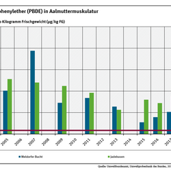 Aalmuttern aus der Nordsee sind stark mit den bromierten Flammschutzmitteln PBDE belastet und überschritten die Umweltqualitätsnorm deutlich. Seit etwa 15 Jahren ist die Belastung im Jadebusen und der Meldorfer Bucht aber um 60 Prozent gesunken.