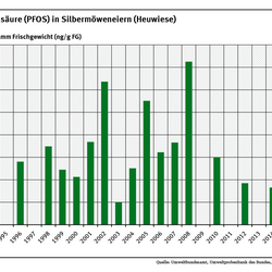 Die PFOS Gehalte in Silbermöweneiern von der Ostsee-Insel Heuwiese sind erst nach Inkrafttreten der europaweiten Anwendungsbeschränkung von PFOS im Jahr 2008 deutlich gesunken.