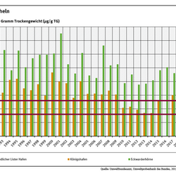 Miesmuscheln aus dem Jadebusen sind stärker mit Blei belastet als Muscheln aus dem Sylt-Römö-Watt. Die Bleigehalte sind zwischen den Jahren 1992 und 2018 bei Eckwarderhörne im Jadebusen um etwa 30 Prozent gesunken, während sich bei Königshafen keine Abnahme zeigt.