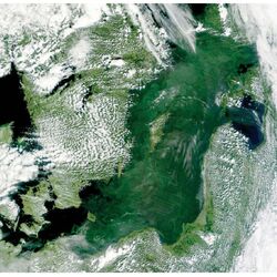 Das Foto aus dem Weltraum zeigt, dass am 12. Juli 2011 Blaualgen die gesamte Ostsee zu etwa 90 Prozent bedeckten.