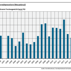 Die Quecksilbergehalte in Eiern von Silbermöwen aus dem Kubitzer Bodden schwankten im Untersuchungszeitraum stark.