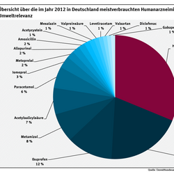 Ein Kreisdiagramm zeigt, dass im Jahr 2012 in Deutschland Menschen mit rund 8.120 Tonnen Arzneimittelwirkstoffen behandelt wurden. Fast zwei Drittel davon entfallen auf 16 Wirkstoffe, die gegen Zuckerkrankheit, Schmerzen, Entzündungen oder Bluthochdruck eingesetzt werden.