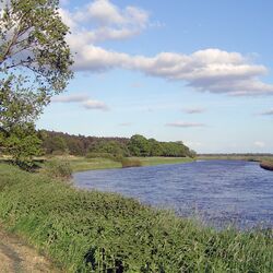 Die Biegung eines großen Flusses mit grünem Uferbewuchs