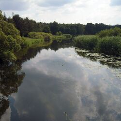 Blick auf auf den Flusslauf der Spree mit grüner Uferböschung rechts und links.