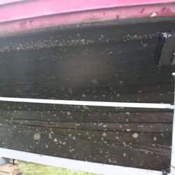 Ein Bootsrumpf mit Algen