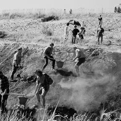 Die Kohlegrube zum Ergrüne bringen: Gartenexperimente im Tagebaurestloch