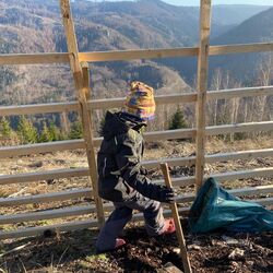 Ein Kind pflanzt einen Baum