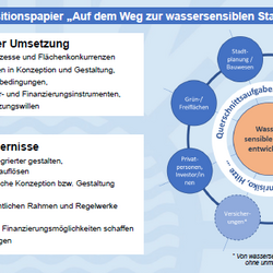 Poster zur Thematik Schwammstadt