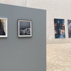 Bilder im Forum des Umweltbundesamtes in Dessau-Roßlau