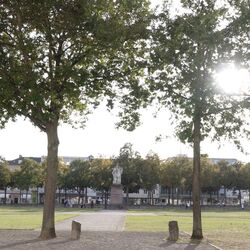 Blick auf Parkanlage mit Bäumen