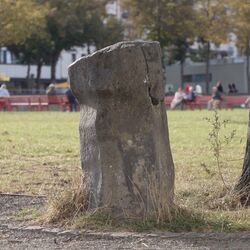 Ein Baum und daneben ein Stein
