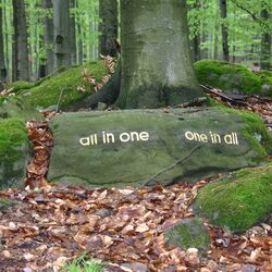 Aufgebrachte Schriftzüge im Wald: "all in one" und "one in all"