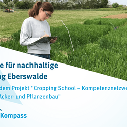 Auf dem Bild ist eine Frau auf dem Feld zu sehen während der Bonitur des Striegelversuchs: Auswirkungen verschiedener Striegelintensitäten auf die Unkrautunterdrückung sowie auf den Segetalartenschutz.