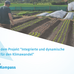 Das Bild zeigt das Testjahr des Market Gardening auf dem Hof Tolle (2021)