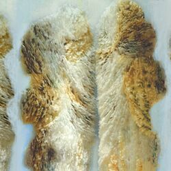 künstlerischer Wald