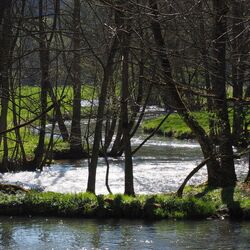 Natural river course
