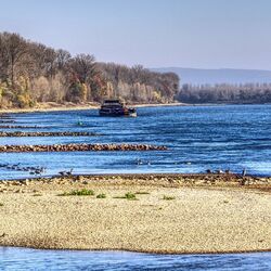 Niedrigwasser am Rhein