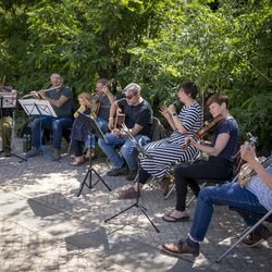 Die Gruppe Irish Traditional Music Session Dessau mit Musikinstrumenten sitzend auf Stühlen, 