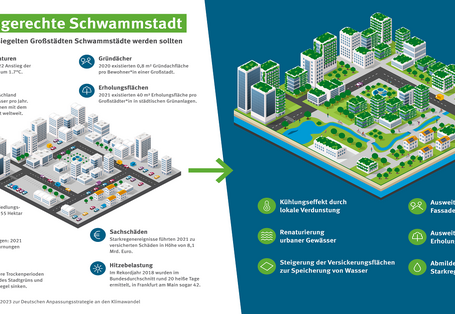 Die Grafik erklärt anhand von zwei schematischen Stadtdarstellungen warum aus stark versiegelten Großstädten Schwammstädte werden sollen. Im linken Teil der Grafik werden negative Klimawirkungen und deren Folgen in bestehenden, stark versiegelten Städten dargestellt. Beispiele sind Starkregen, Hitze und Trockenheit sowie daraus resultierende hohe finanzielle Schäden. Der rechte Teil der Grafik zeigt schematisch eine zukünftige klimaresiliente Schwammstadt. In dieser Stadt sind Gewässer renaturiert, Gebäude.
