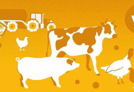 Titelbild Tierarzneimittelportal: Eine schematische Darstellung von Nutztieren und einem Traktor.