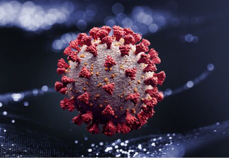 a virus in a close-up foto