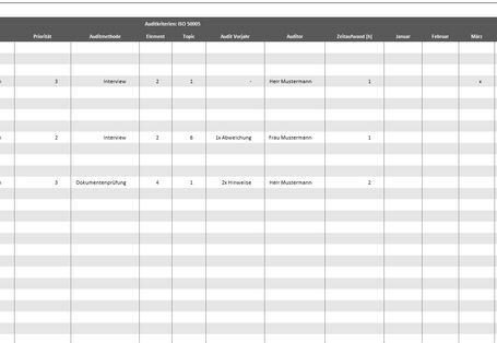 Abbildung 2: Auditjahresplan