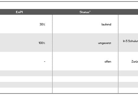Grafik Element 12 - Managementbewertung: Zielerreichung