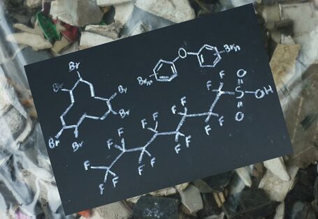 Persistente organische Schadstoffe werden weiträumig transportiert